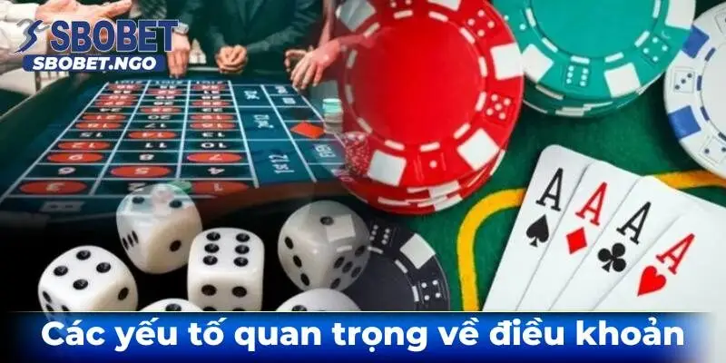 Cac-yeu-to-quan-trong-ve-dieu-khoan-su-dung-sbobet